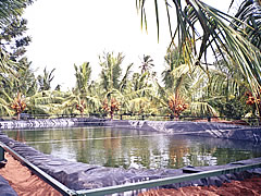 Ponds lining, pond liner, pond lining, ponds liners, reservoirs lining, reservoir linings, reservoir liners, reservoir liner, LDPE film lining, LDPE sheet lining manufacturer, supplier & exporter - Climax, Gujarat, India - Image