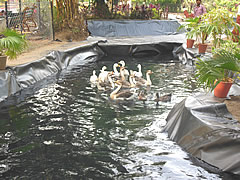 Ponds lining, pond liner, pond lining, ponds liners, reservoirs lining, reservoir linings, reservoir liners, reservoir liner, LDPE film lining, LDPE sheet lining manufacturer, supplier & exporter - Climax, Gujarat, India - Image